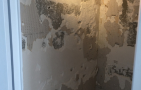 Peintre Saint-Lyphard